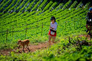 BIB: 913
                            <button type="button" onclick="openModal(19163024)" class="btn btn-primary btn-sm float-right btn-popup" data-toggle="modal" data-target=".modal-high-quality">
                        <i class="fas fa-shopping-cart"></i> Add to Cart
                    </button>
                                            <button type="button" onclick="isThisMe(19163024, true)" class="btn btn-success btn-sm float-right btn-popup btn-isme hidden" data-toggle="tooltip" data-placement="bottom" title="นี่คือรูปของคุณใช่ไหม คลิกที่นี่เพื่อเอาเข้าอัลบั้ม">
                        <i class="fas fa-plus"></i> Add to album
                    </button>
                    <button type="button" onclick="isThisMe(19163024, false)" class="btn btn-warning btn-sm float-right btn-popup btn-isnotme hidden">
                        <i class="fas fa-ban"></i> Remove from album
                    </button>